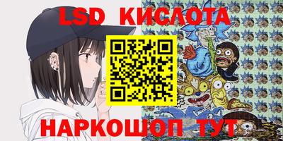 стаф Кулебаки