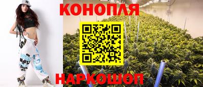 прущие грибы Кунгур