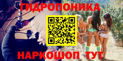 стаф Кулебаки