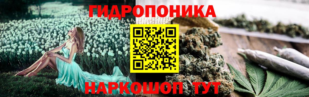 Конопля индика Кореновск